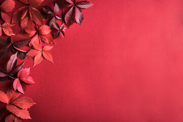 Autumnal red leaves on red background