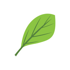 Green leaf illustration nature logo design