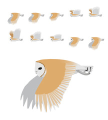 Barn Owl Flying Animation Sequence Cartoon Vector