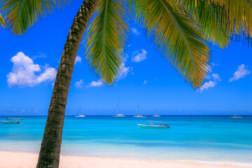 Obraz na płótnie Canvas Tropical caribbean beach with sailboats and boat, Punta Cana, Dominican Republic