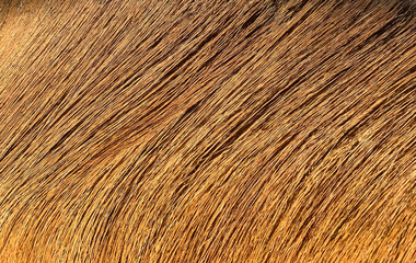Close-up brown handmade straw broom texture