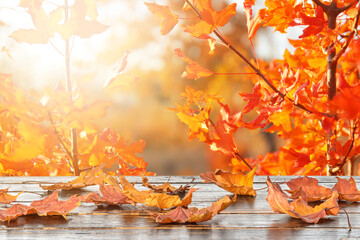 Beautiful autumn leaves on wooden table against white background