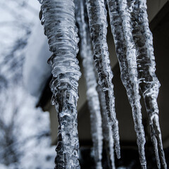 Frozen icicles hanging in the winter on a  cold day - obrazy, fototapety, plakaty