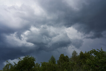 black thundercloud above the trees