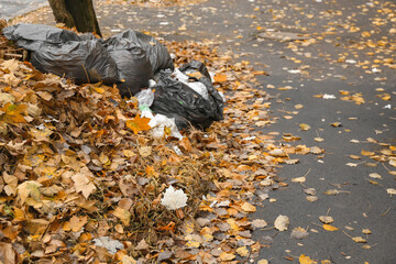 Obraz premium Stack of different garbage with autumn leaves on street