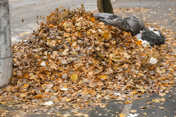 Stack of different garbage with autumn leaves on street