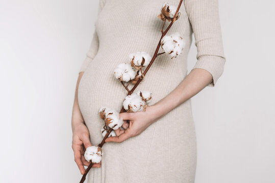 Pregnant woman in beige dress touching belly, cotton flower, preparing go to maternity hospital for childbirth. Pregnancy, maternity, preparation, baby expectation concept. 40 weeks of pregnancy