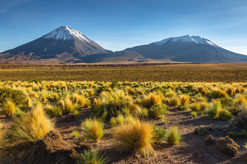 Licancabur at sunrise, Atacama, volcanic landscape, Chile, South America