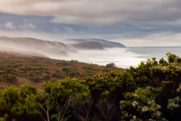 Felsküste in Australien mit Nebel