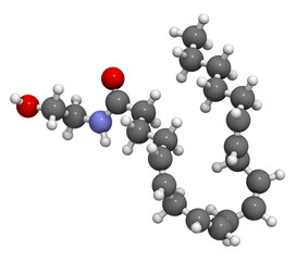 Anandamide endogenous cannabinoid neurotransmitter molecule. 3D rendering. Atoms are represented as spheres with conventional color coding