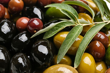 Different kinds of tasty olives and branch as background, closeup