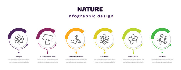 nature infographic template with icons and 6 step or option. nature icons such as jonquil, black cherry tree, natural medical pills, anemone, hydrangea, jasmine vector. can be used for banner, info