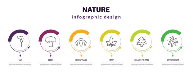 nature infographic template with icons and 6 step or option. nature icons such as lily, beech, ylang-ylang, hemp, balsam fir tree, sisyrinchium vector. can be used for banner, info graph, web,