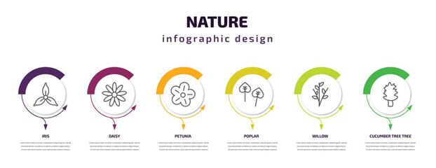 Fototapeta premium nature infographic template with icons and 6 step or option. nature icons such as iris, daisy, petunia, poplar, willow, cucumber tree tree vector. can be used for banner, info graph, web,