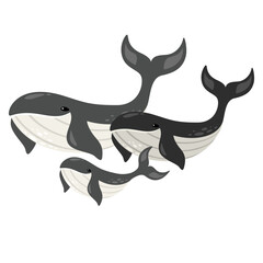 Cartoon Drawing Of Whales