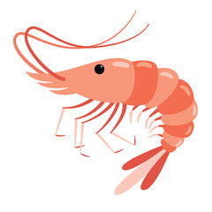 Obraz premium Cartoon Drawing Of A Shrimp