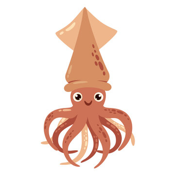 Cartoon Drawing Of A Squid