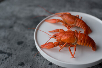Boiled crayfish on a plate, minimalism.