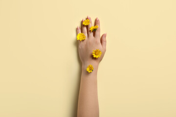 Female hand and yellow flowers on beige background