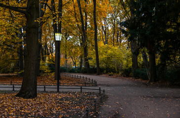 autumn park in Berlin