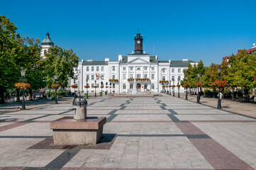 Town hall in Plock, Masovian Voivodeship, Poland - obrazy, fototapety, plakaty