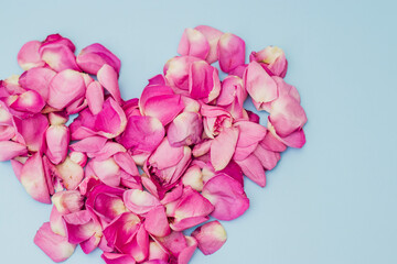 Pink roses petal heart shaped. Top view of heart made of pink rose petals, st valentines day concept