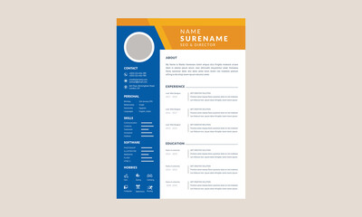 Clean Curriculum Vitae Layout