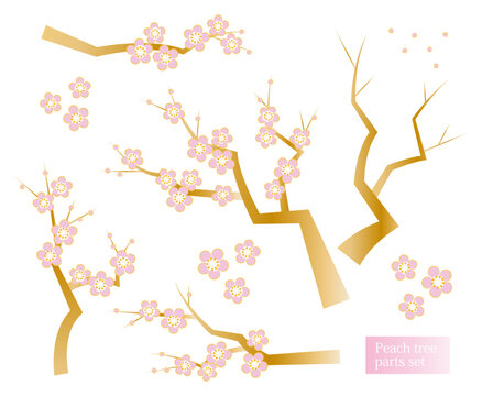 桃の花images Browse 5 573 Stock Photos Vectors And Video Adobe Stock