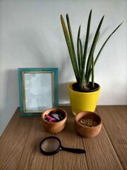 Plant in yellow pot, bowl and fframe on the table 