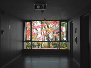 Glass window over blue sky background at hallway in front of lifts in condominium.