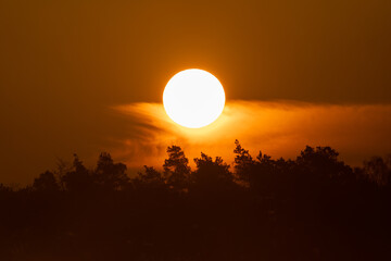 Wschód słońca w dolinie nad drzewami © Sylwester Popenda