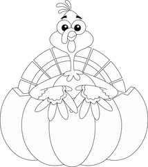 Outlined Happy Turkey Baby Cartoon Character In Pumpkin. Vector Hand Drawn Illustration Isolated On Transparent Background