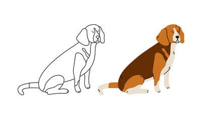 Cute beagle dog vector cartoon illustration. Hand-drawn dog in contemporary flat style, and line art. Cartoon animal, pet. The dog is sitting.