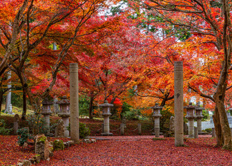 ああ、美しきかな、日本の秋 - obrazy, fototapety, plakaty