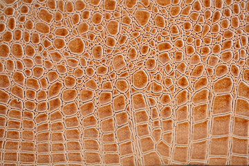 Beautiful yellow, gold bright snake or crocodile skin, reptile skin texture, multicolored close-up as a background. © Vera