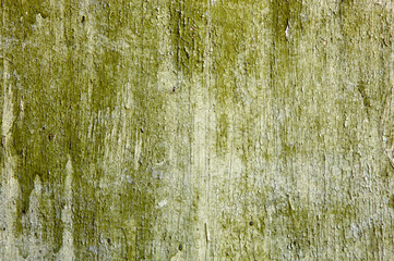 Vintage wood background with peeling paint. Old wood texture grunge background, scratched green paint on planks of wooden wall