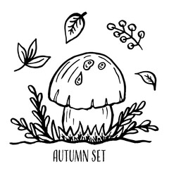 Hello Autumn. Autumn harvest symbols. Set of autumn elements leaves, berries and mushroom. Hand drawn, sketch. Vector illustration in doodle style.