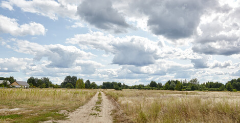Fototapeta premium Panoramic photo of summer forest on the horizon against the blue sky. Beautiful landscape of green trees and blue sky background