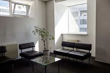 Contemporary waiting room with a black armchairs, glass table and a plant in a white flowerpot behind it. Modern office or clinic interior, closeup