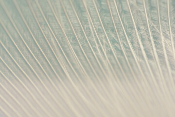 Obraz premium close up of an background