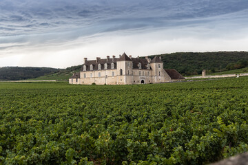 Fototapeta na wymiar The Clos Vougeot Castle in burgundy