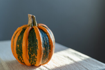 A bright orange and green pumpkin lies on a table covered with linen cloth.