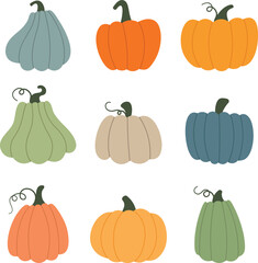 A set of colorful pumpkins of different shapes. Vector objects for Thanksgiving and Halloween. Autumn illustrations for t-shirts and stationery