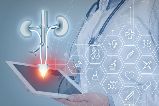 Doctor holding modern tablet, virtual image of urinary system and different icons on light background, closeup