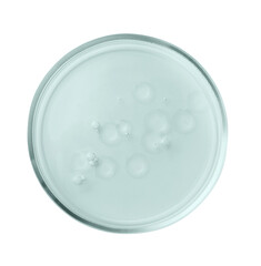 Petri dish with color liquid isolated on white, top view