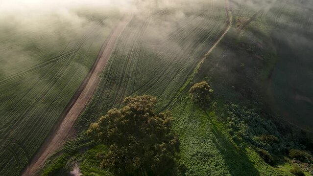 Aerial view of Overberg farm with fog, Western Cape, South Africa