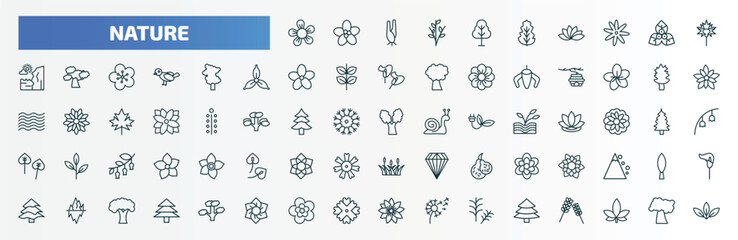 special lineal nature icons set. outline icons such as jasmine, birch, carnation, sassafras tree, cucumber tree tree, eastern cottonwood dahlia, iceberg, peony, red spruce line icons.
