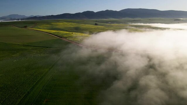 Aerial view of Overberg farm with fog, Western Cape, South Africa