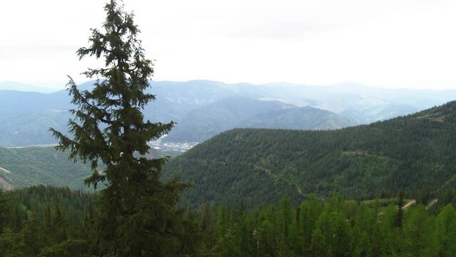 Aerial revealing town of Kellogg, Idaho off of pine tree high in surrounding mountains