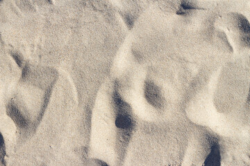 Natural texture. Sandy beach, sand texture